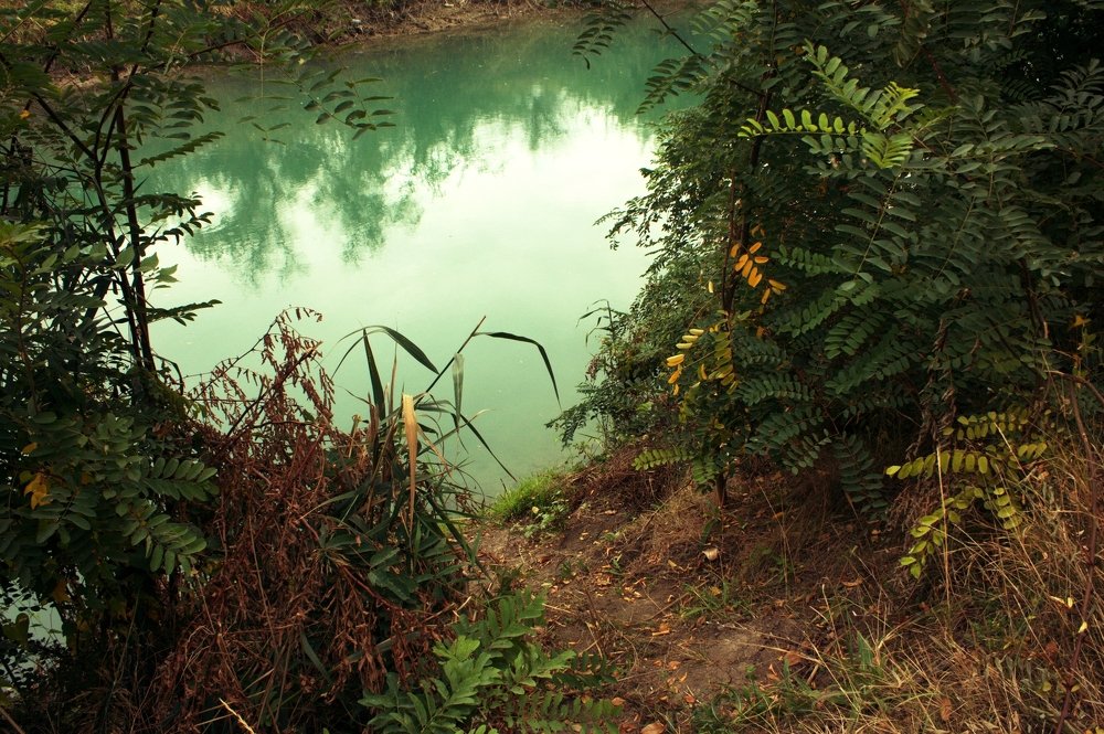 Photograph by Виталий Гончаров