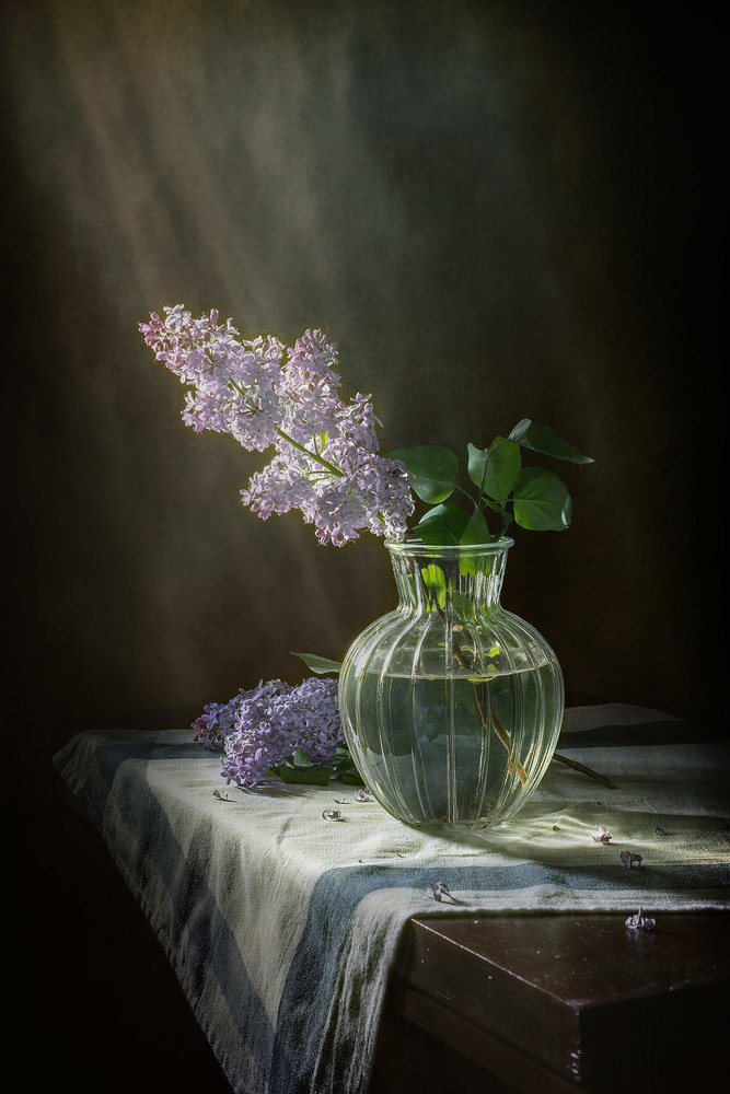 Свежесть сиреневого утра