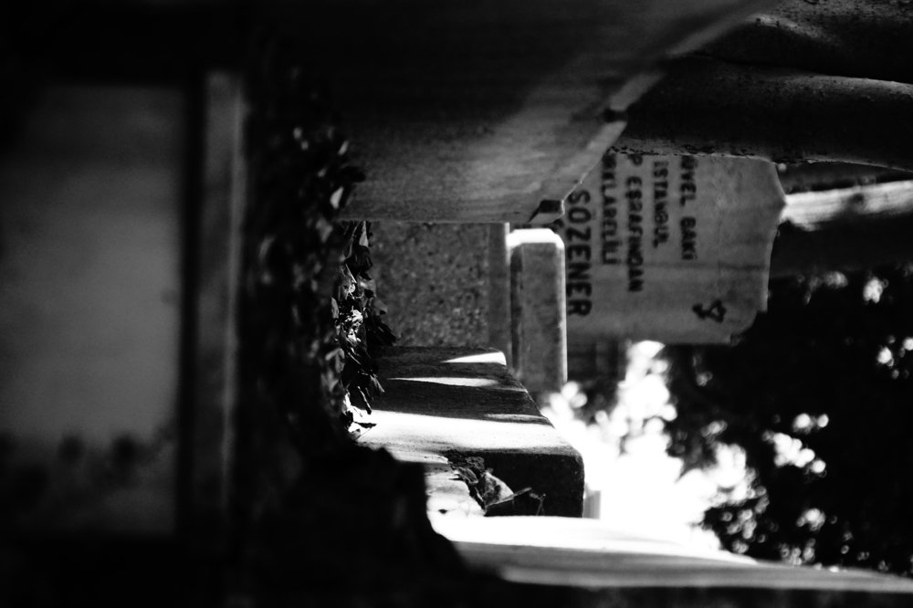 Photograph by Esma Güvenç Gündüz