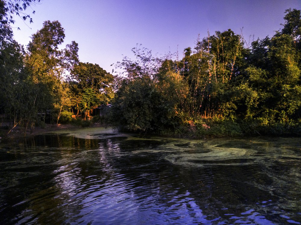 Photograph by Md Abu Sayeed Mondal