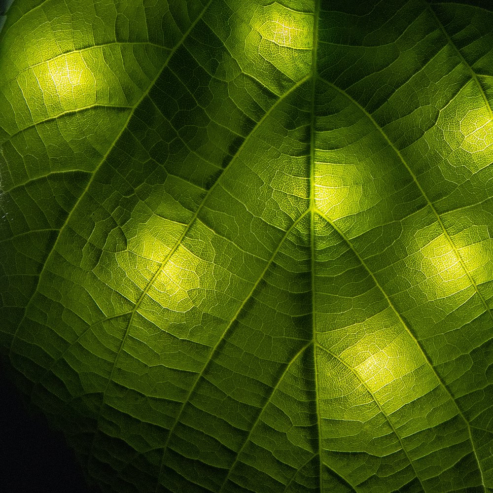 Photograph by  Mykhailo