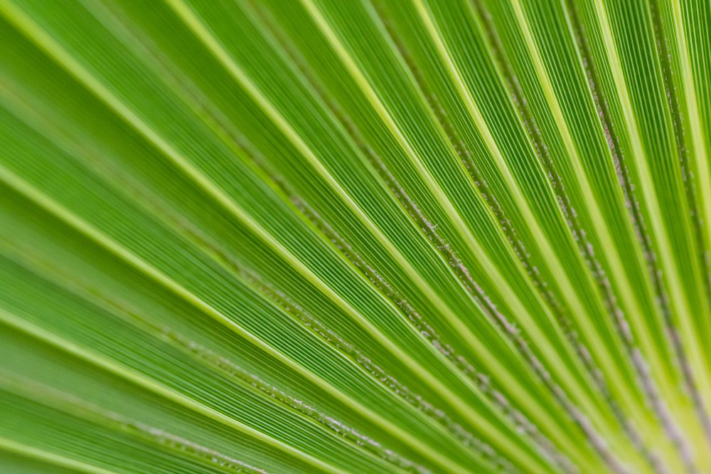 Photograph by  Mykhailo