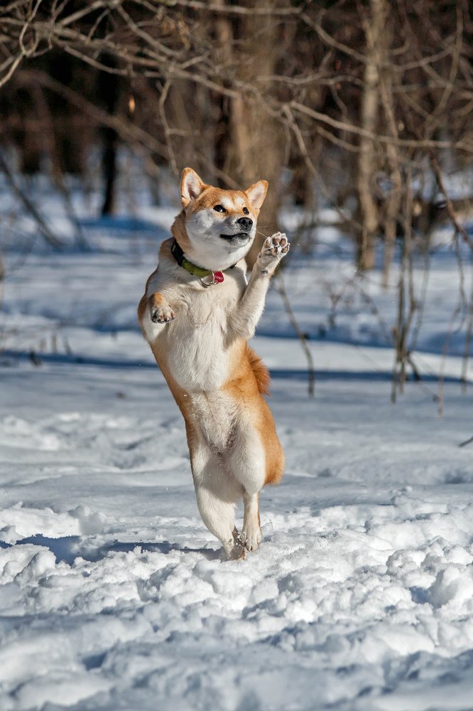 Photograph by Ольга Мурзина