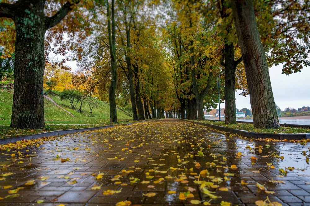 Photograph by Виктор Желенговский