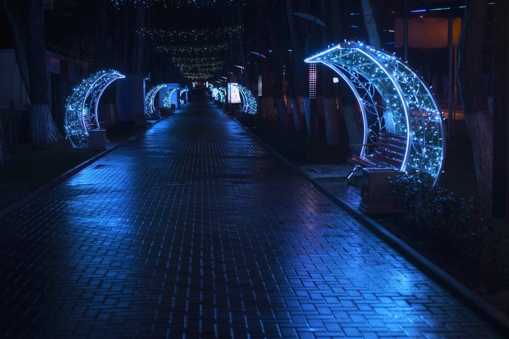 Photograph by Никита Васильев