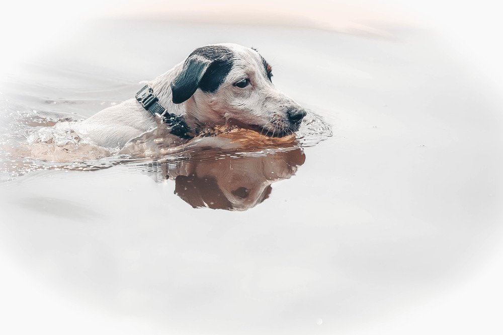 Photograph by Ольга Мурзина