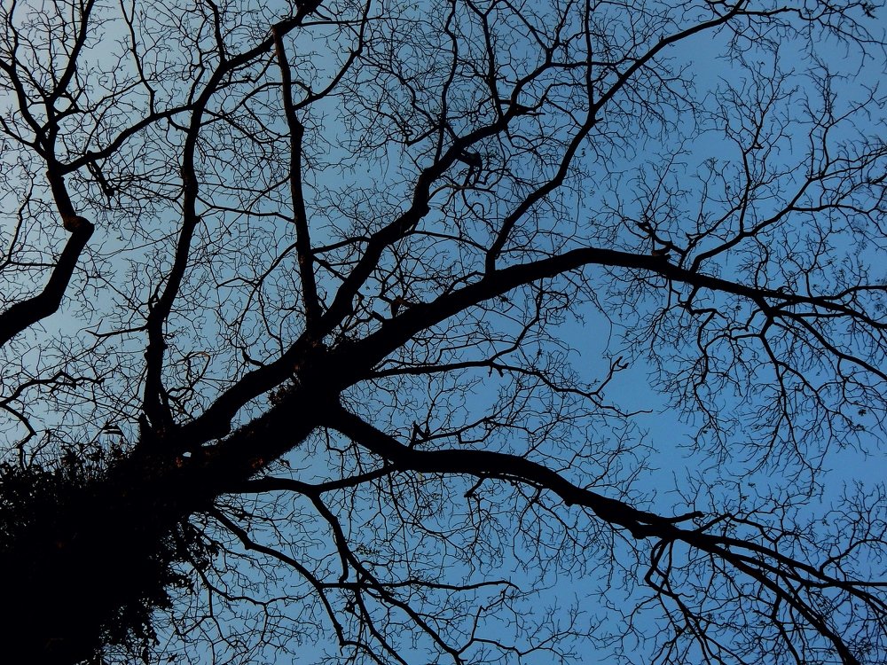 Photograph by Santanu Dey