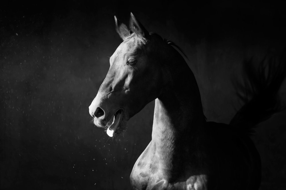 Photograph by Лия Макари