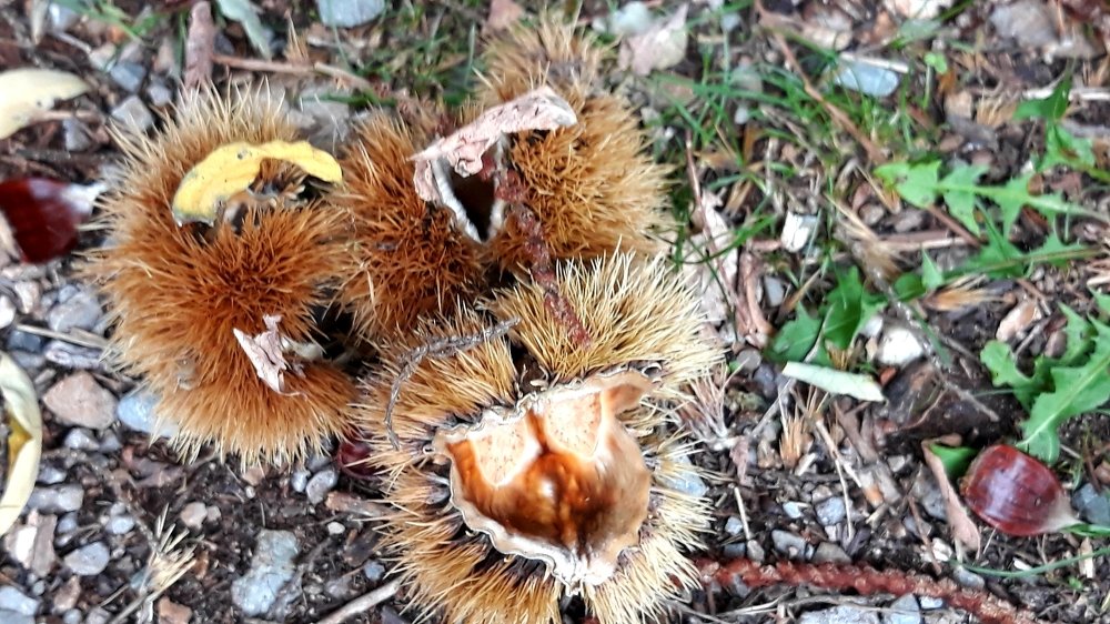 Photograph by SANDRA BOGDANOVIĆ