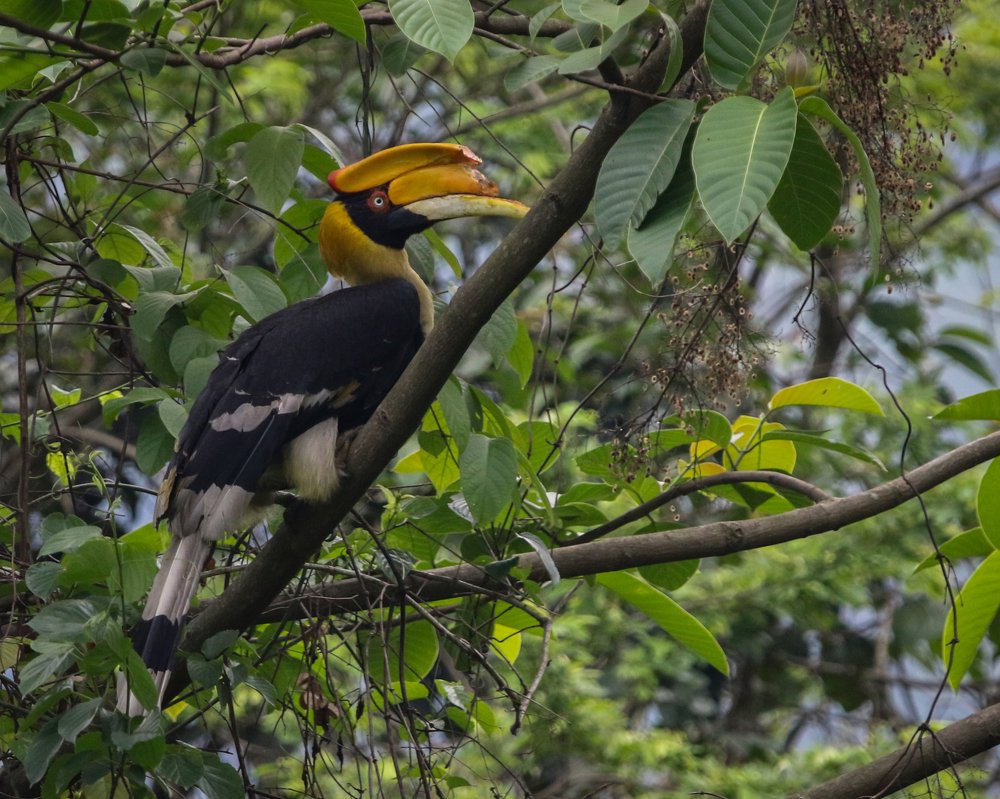 Photograph by Siddharaj Parmar