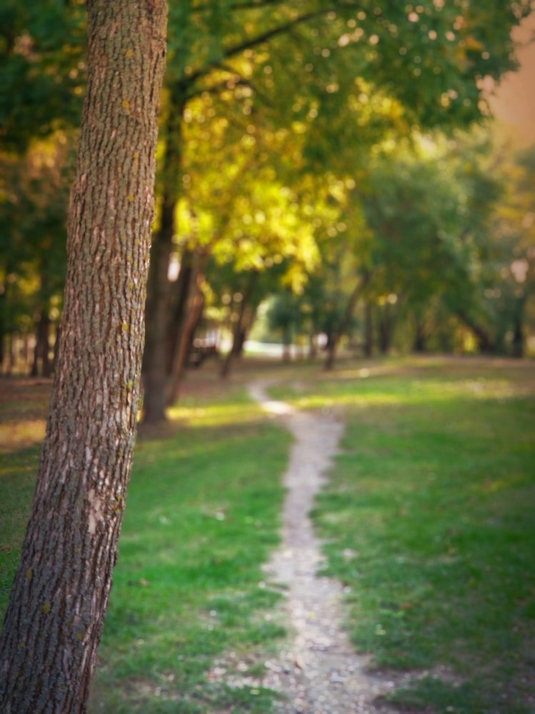 Photograph by Игорь Рябченко