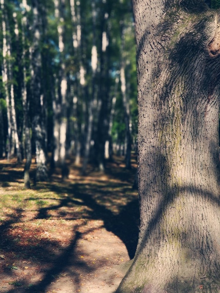 Photograph by Игорь Рябченко