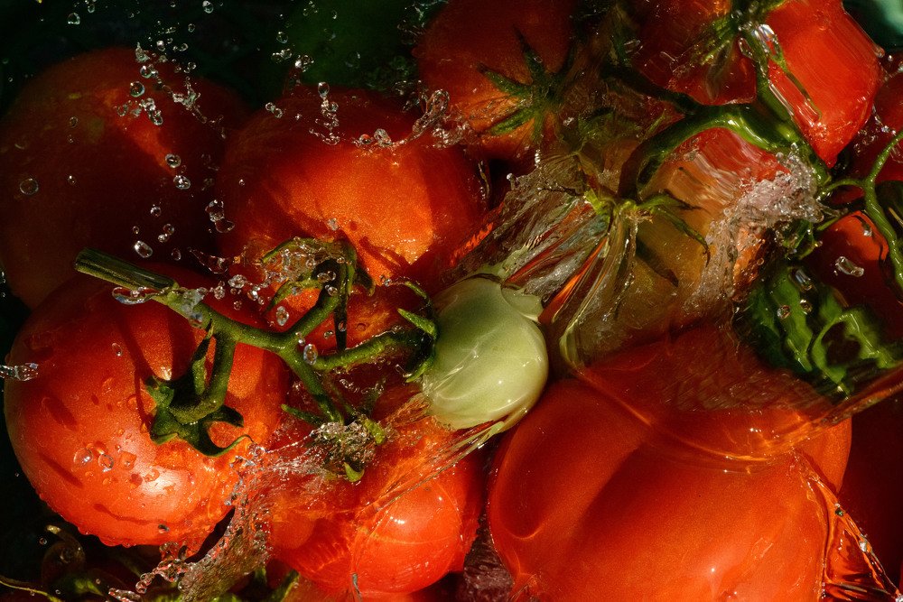 Photograph by Rimma Volchenko