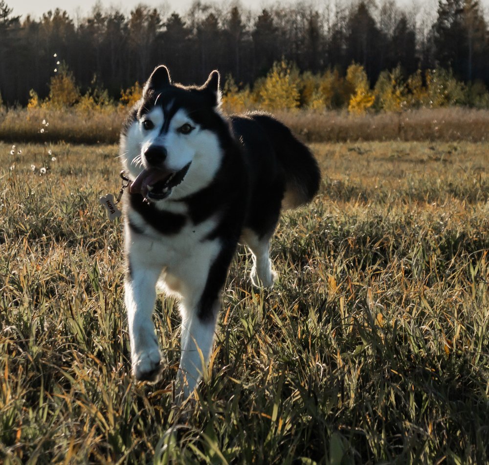 Photograph by Ирина Шабалина