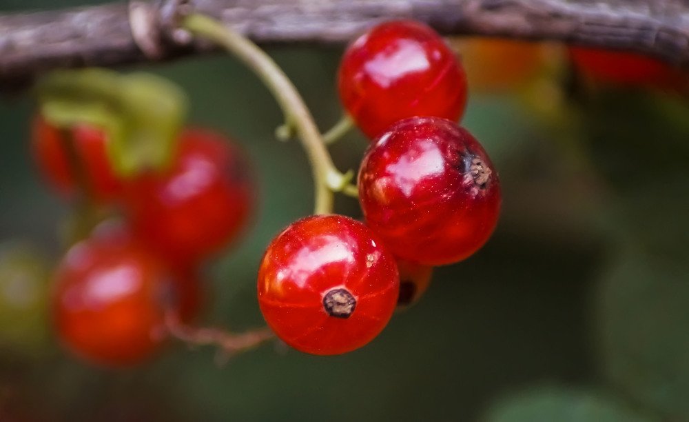 Photograph by Slesareva Nina