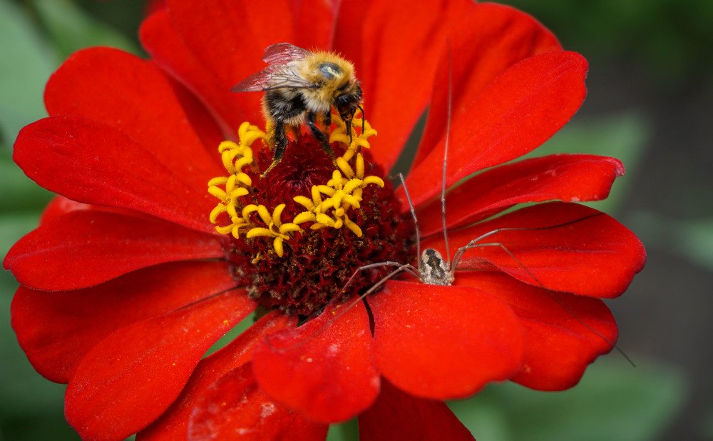 Photograph by Slesareva Nina