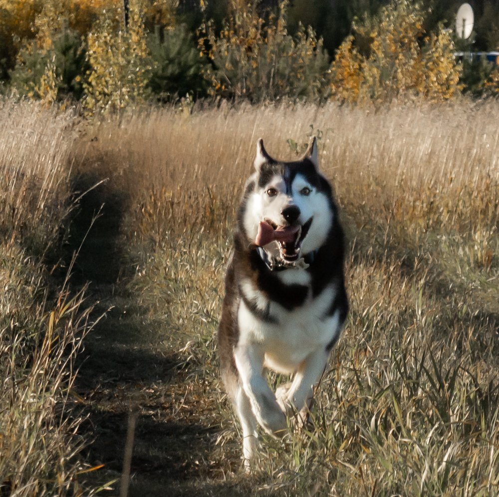 Photograph by Ирина Шабалина