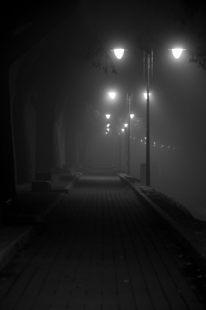 Photograph by Roman Dmitriev