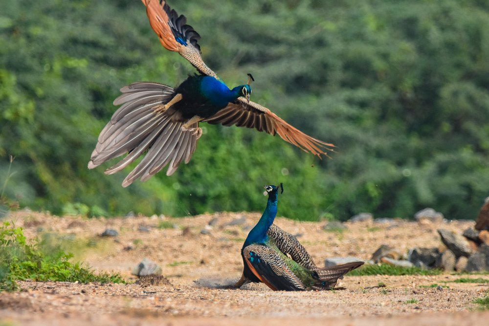 Photograph by Bhoobalakrishnan G