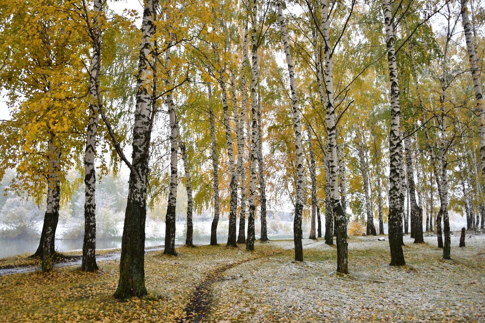 Photograph by Валерий Гудков