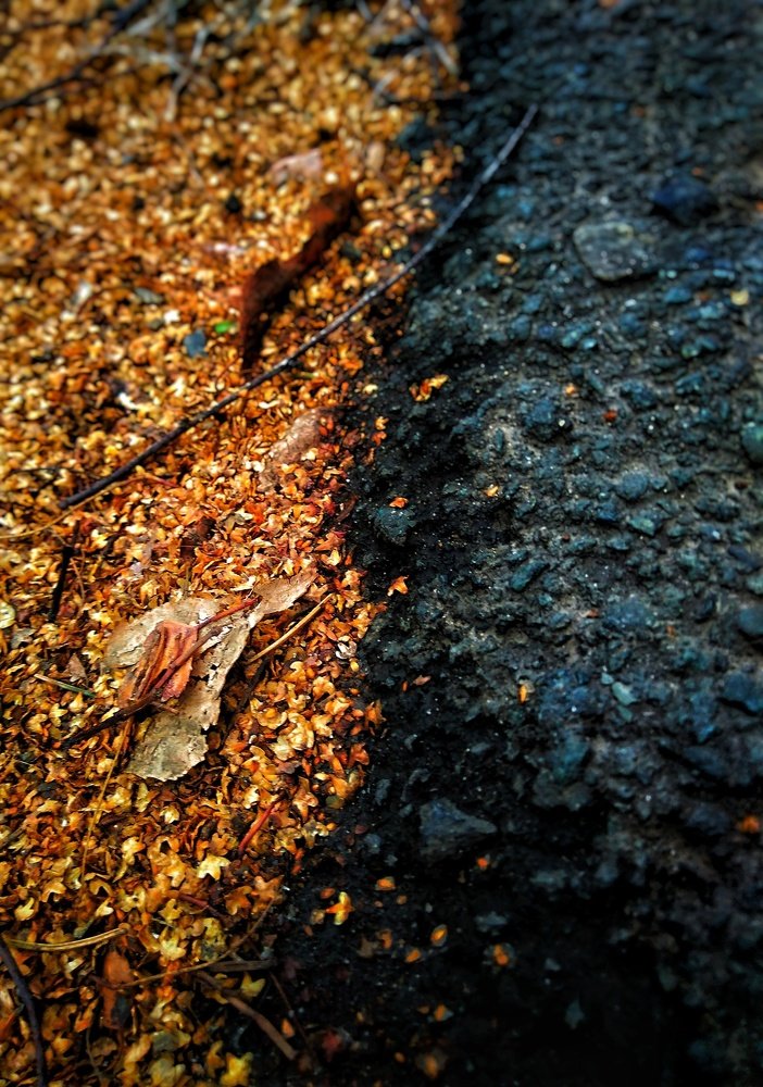 Photograph by Maske *