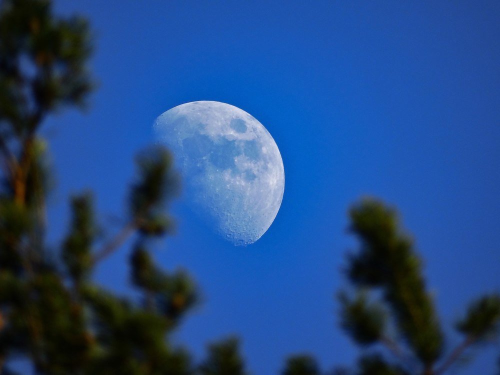 Photograph by Алексей Глухов