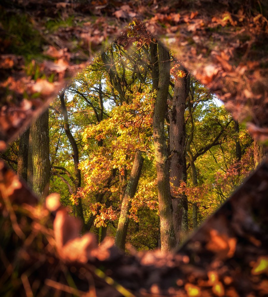 Photograph by Dobranici Florin