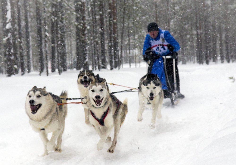 Photograph by Елена