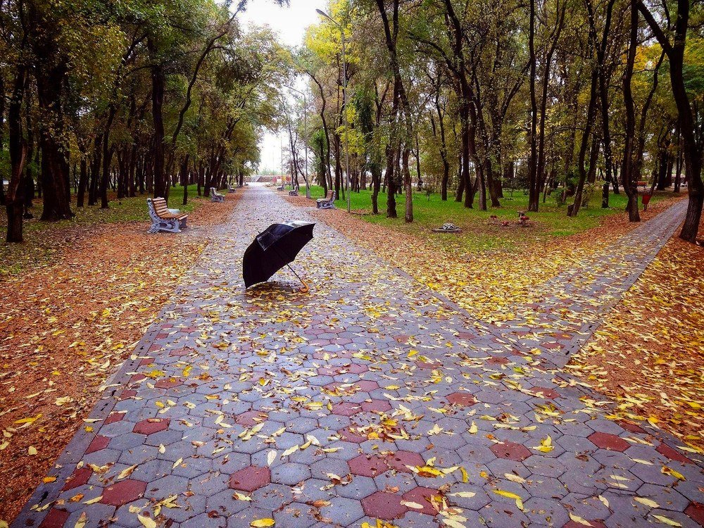 Одинокий зонт.