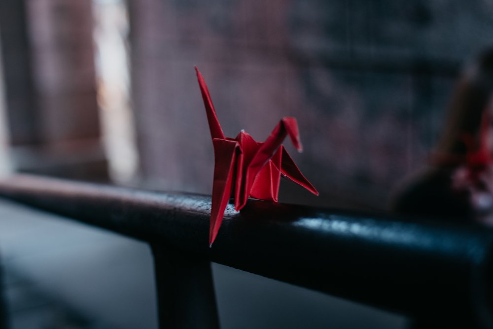 Photograph by Анна Сенникова