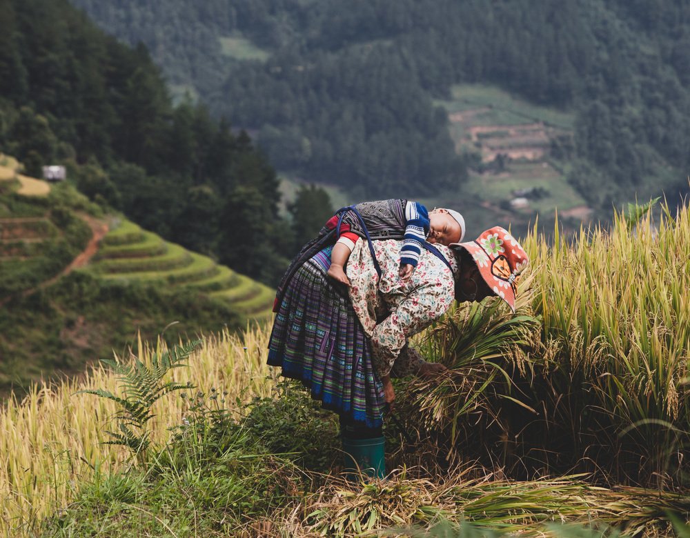 Photograph by Ирина Шевакова