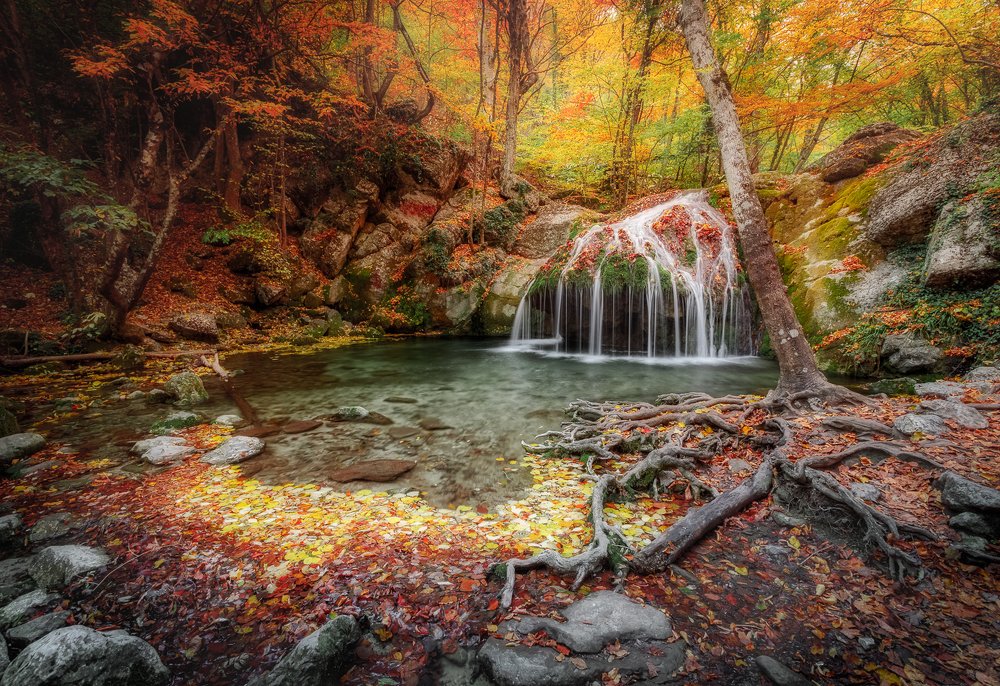 Осенняя сказка.