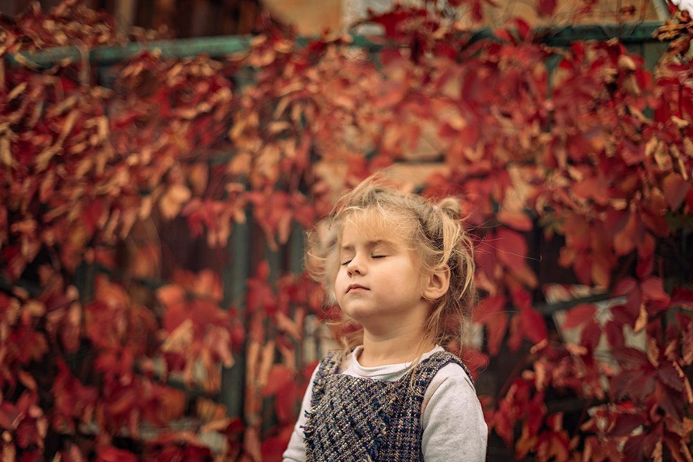 Photograph by 