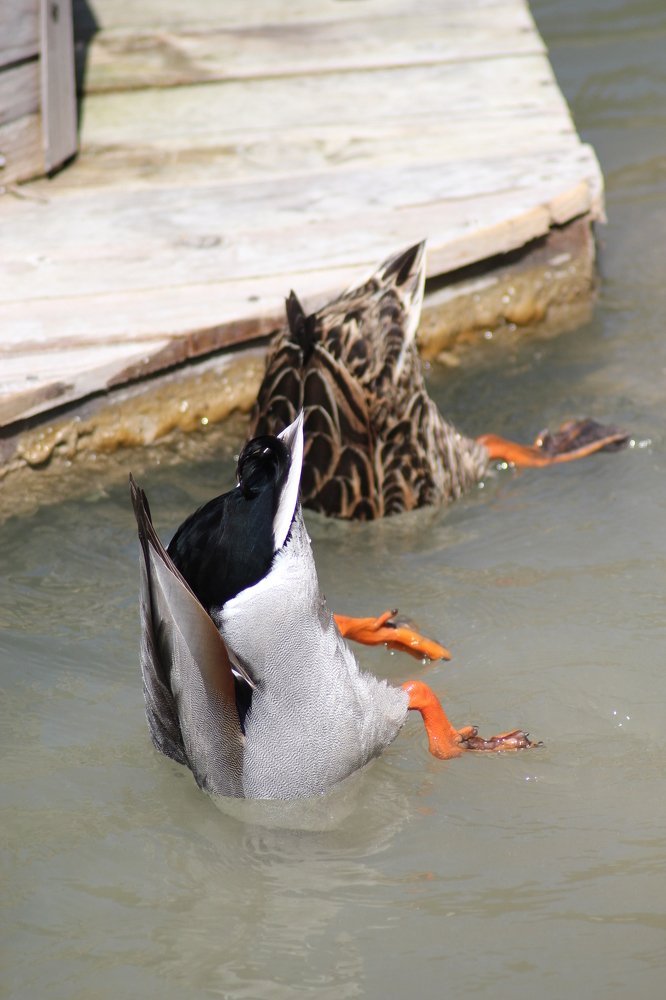 Photograph by Елена Кузьмищева