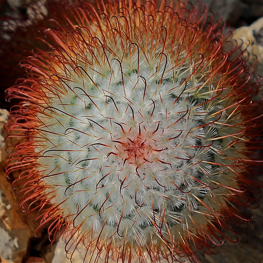 Фотография автора Геннадий Титов