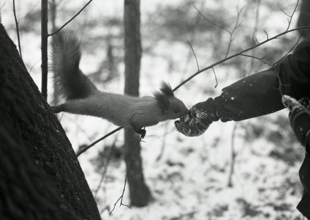 Фотография автора Илья Глобин