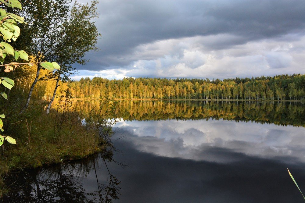 Photograph by Наталья Кошелева