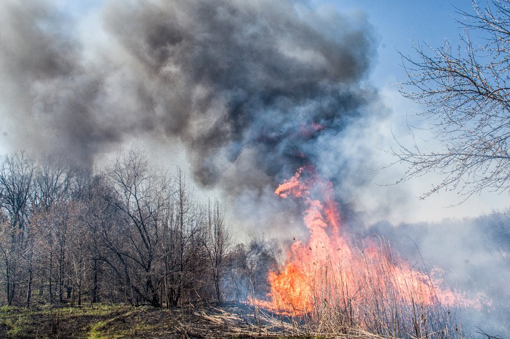Photograph by Евгений Дёгтев
