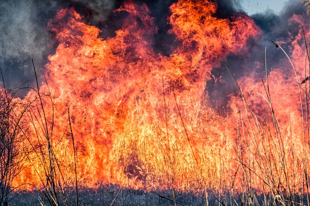 Photograph by Евгений Дёгтев