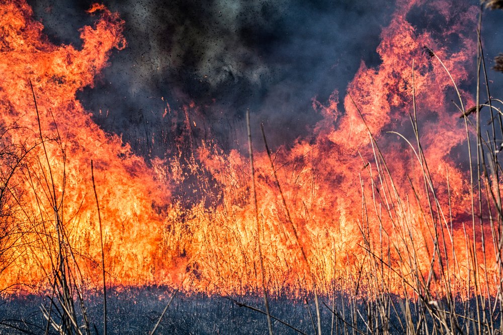 Photograph by Евгений Дёгтев
