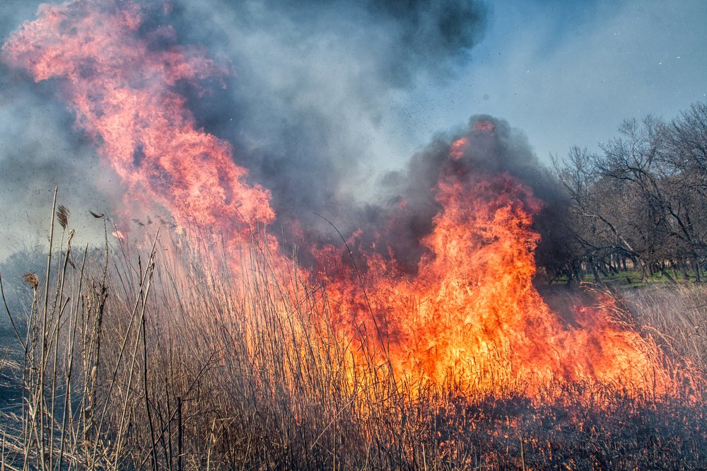 Photograph by Евгений Дёгтев