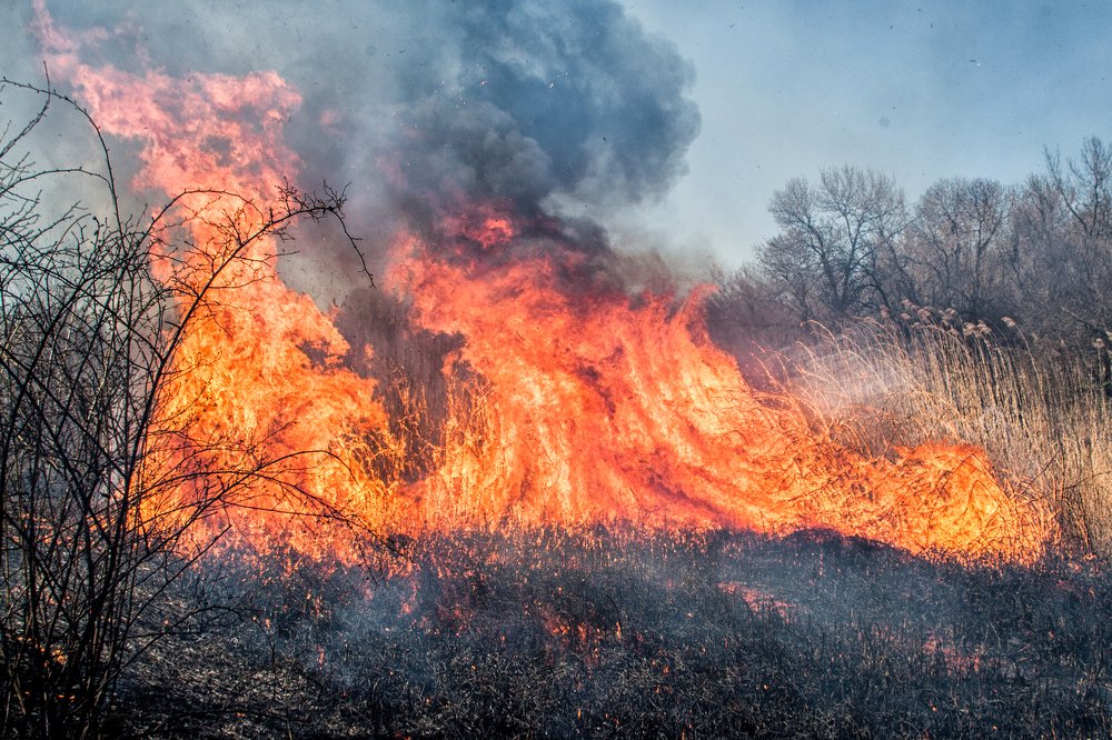 Photograph by Евгений Дёгтев