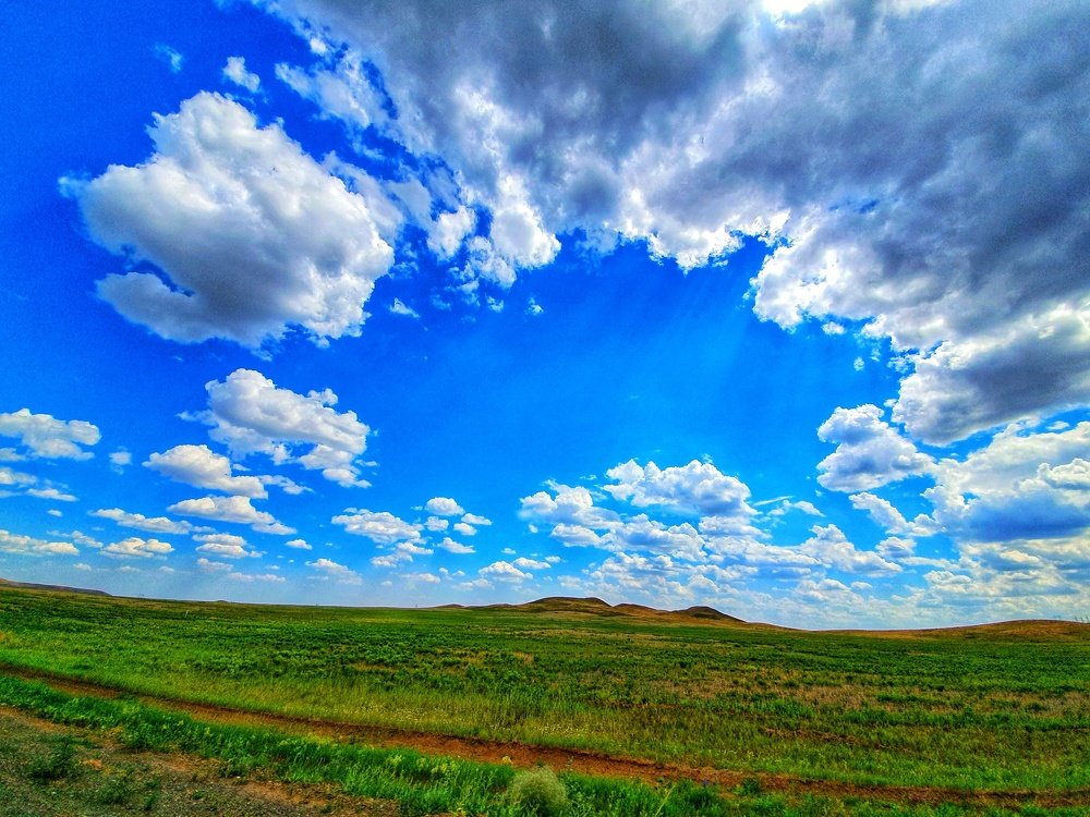 Photograph by Диана Даулбаева