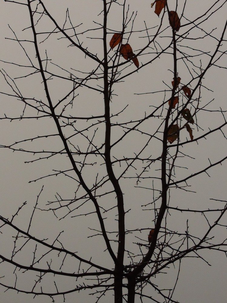 Photograph by Вадим Вахрушев