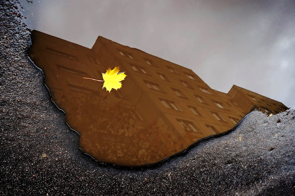 Photograph by Ирина Ксензова