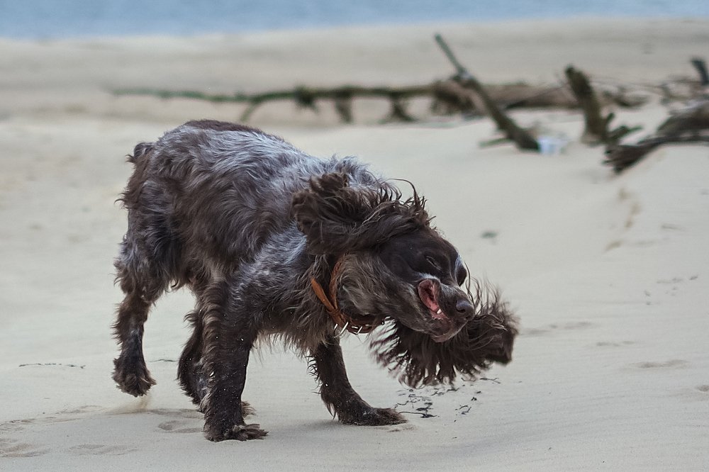 Photograph by Анатолий Асеев