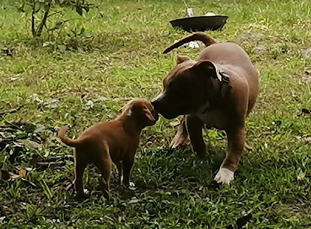 Photo #3825862