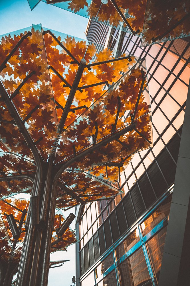 Цвета осени