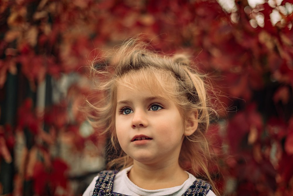 Photograph by 