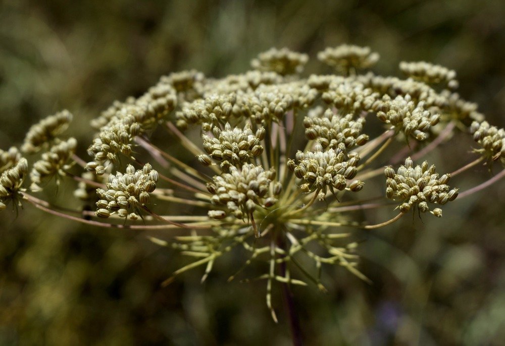 Photograph by Beatriz Games